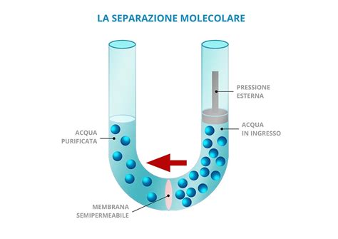 I depuratori a Separazione Molecolare Purhy .